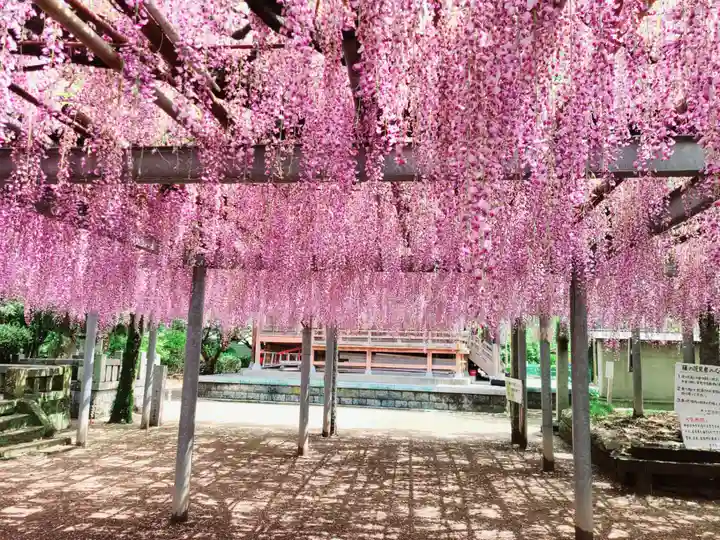 天満神社の自然