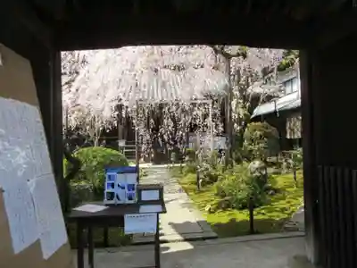 専称寺のその他建物