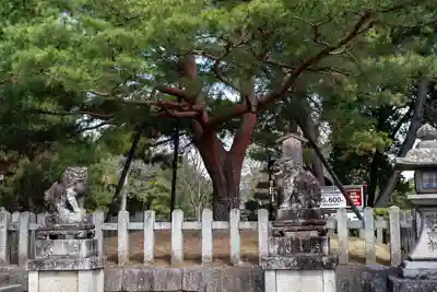 北野天満宮(京都府)