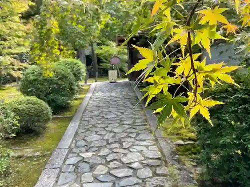酬恩庵一休寺(京都府)