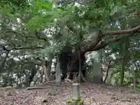 浅間神社の自然