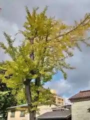 阿邪訶根神社(福島県)