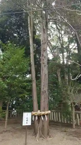 常陸第三宮　吉田神社(茨城県)