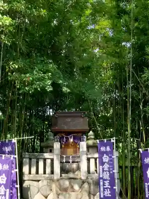 白金龍王社(愛知県)