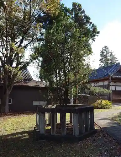 白根神社(新潟県)