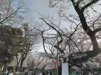 花園稲荷神社の自然