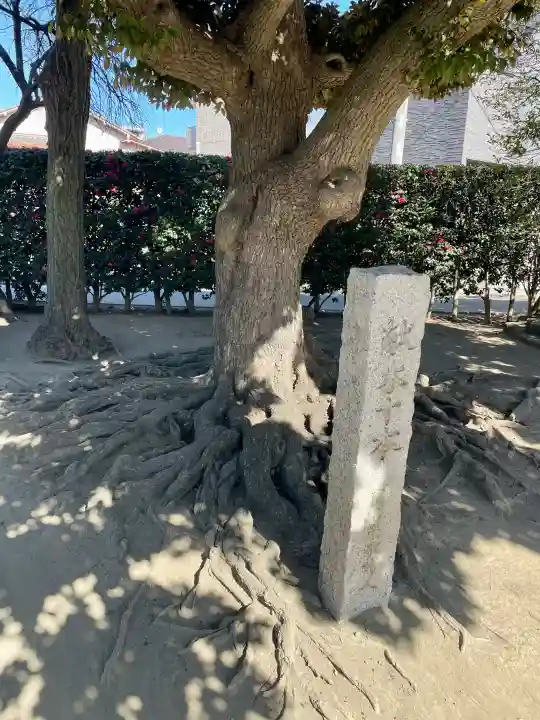 薭田神社の{uncategorized: "未分類", other: "その他", undefined: "問題あり", building: "その他建物", grave: "お墓", sacred_gate: "鳥居", guardian: "狛犬", statue: "像", buddha: "仏像", history: "歴史", nature: "自然", garden: "庭園", animal: "動物", pagoda: "塔", temizu: "手水舎", mountain_gate: "山門・神門", sanctuary: "本殿・本堂", subordinate: "末社・摂社", art: "芸術", scenery: "景色", jizo: "地蔵", ema: "絵馬", goshuin: "御朱印", omikuji: "おみくじ", items: "授与品その他", amulet: "お守り", goshuincho: "御朱印帳", eats: "食事", festival: "お祭り", votive_dance: "神楽", shichigosan: "七五三参", wedding: "結婚式", experience: "体験その他", initially: "初詣", around: "周辺", anti_infection: "感染症対策"}