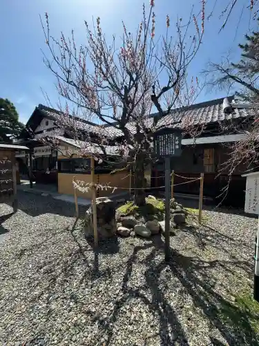 滋賀県護国神社(滋賀県)