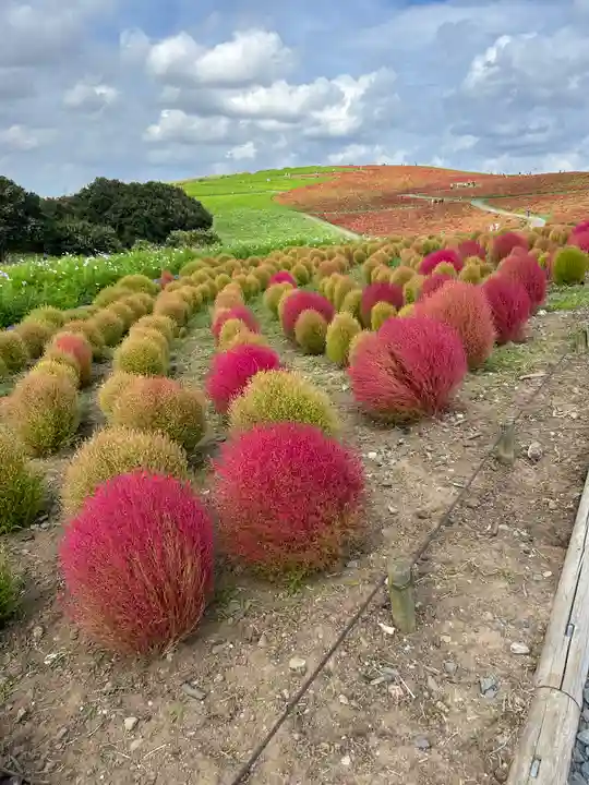 一乗院(身代不動尊) の自然