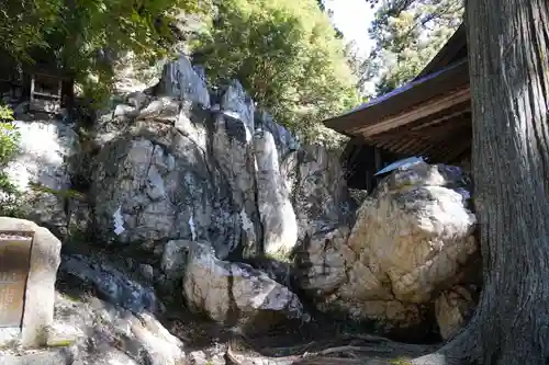 鹿島大神宮の自然