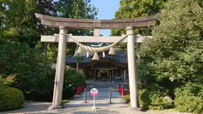 越中一宮 髙瀬神社の鳥居