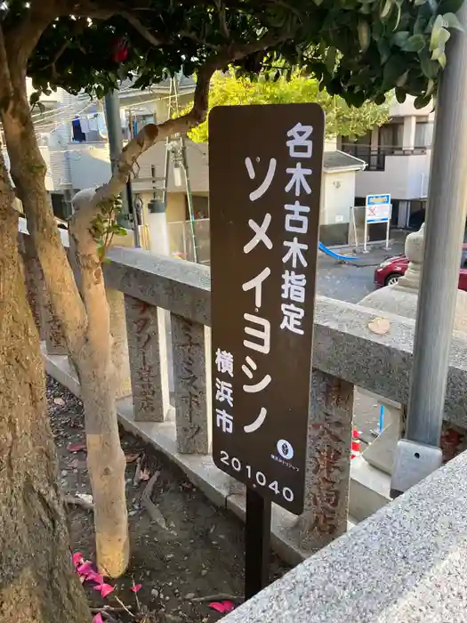 元町厳島神社の建物その他