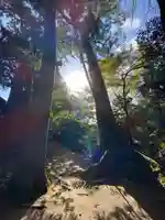 須佐神社(島根県)