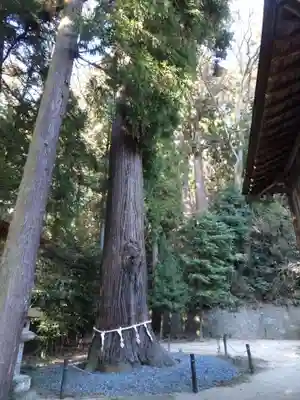 鹿嶋神社(福島県)
