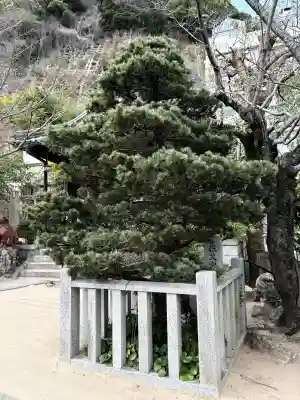 妙光院の{uncategorized: "未分類", other: "その他", undefined: "問題あり", building: "その他建物", grave: "お墓", sacred_gate: "鳥居", guardian: "狛犬", statue: "像", buddha: "仏像", history: "歴史", nature: "自然", garden: "庭園", animal: "動物", pagoda: "塔", temizu: "手水舎", mountain_gate: "山門・神門", sanctuary: "本殿・本堂", subordinate: "末社・摂社", art: "芸術", scenery: "景色", jizo: "地蔵", ema: "絵馬", goshuin: "御朱印", omikuji: "おみくじ", items: "授与品その他", amulet: "お守り", goshuincho: "御朱印帳", eats: "食事", festival: "お祭り", votive_dance: "神楽", shichigosan: "七五三参", wedding: "結婚式", experience: "体験その他", initially: "初詣", around: "周辺", anti_infection: "感染症対策"}