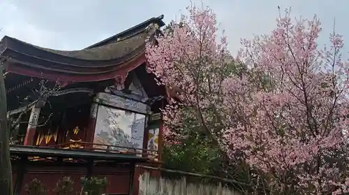 金峯山寺の自然