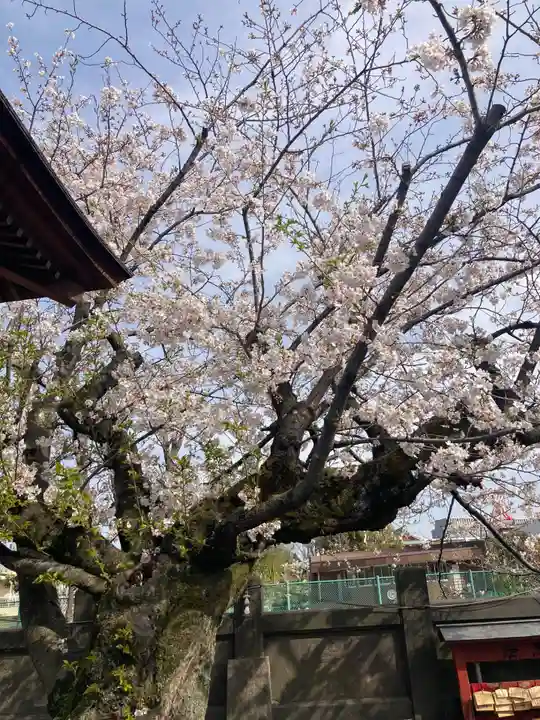 成田山深川不動堂(新勝寺東京別院)(東京都)