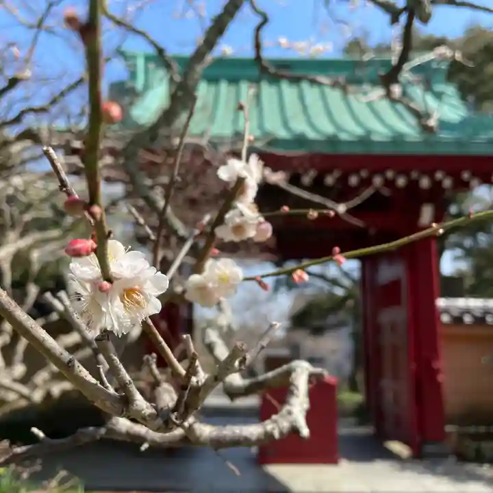 光則寺(神奈川県)