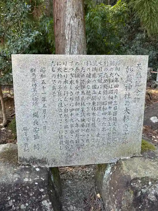 妙義神社(群馬県)