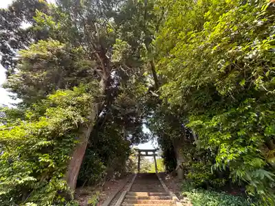 熊野神社(福井県)