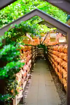 川越氷川神社(埼玉県)