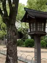 湊川神社の自然