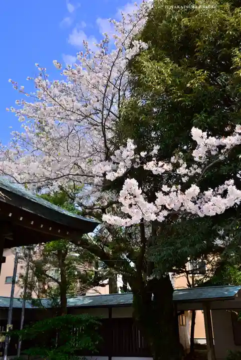 丸子神社 浅間神社(静岡県)