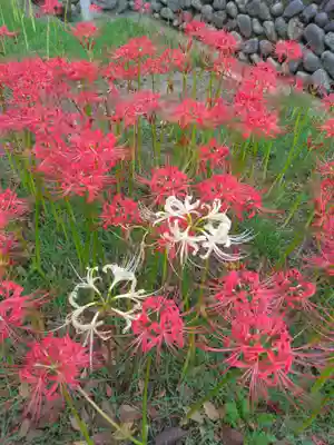 横浜　西方寺(神奈川県)