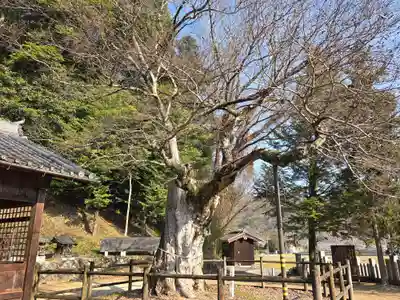 八幡神社(兵庫県)