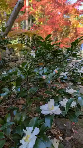 北野天満宮(京都府)