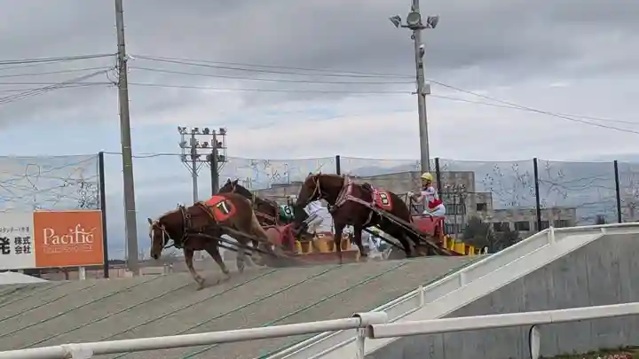 十勝輓馬神社の動物