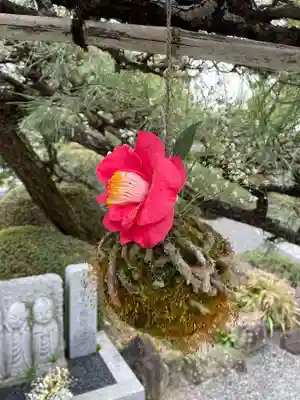 多聞寺(兵庫県)