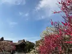 曽根天満宮の庭園