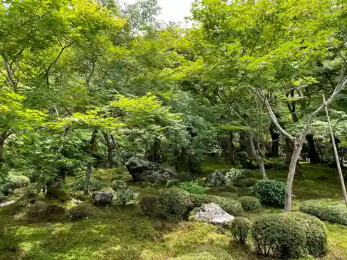 圓光寺(京都府)