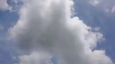 梅宮神社(埼玉県)