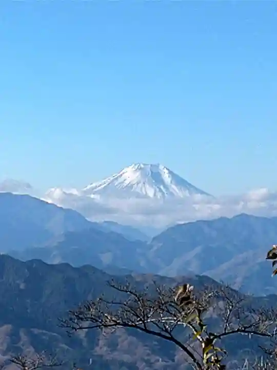 高尾山薬王院の景色
