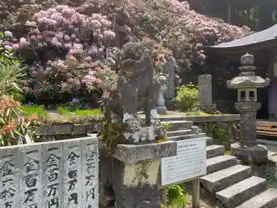 横峰寺(愛媛県)