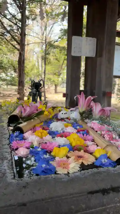 札幌護國神社の{uncategorized: "未分類", other: "その他", undefined: "問題あり", building: "その他建物", grave: "お墓", sacred_gate: "鳥居", guardian: "狛犬", statue: "像", buddha: "仏像", history: "歴史", nature: "自然", garden: "庭園", animal: "動物", pagoda: "塔", temizu: "手水舎", mountain_gate: "山門・神門", sanctuary: "本殿・本堂", subordinate: "末社・摂社", art: "芸術", scenery: "景色", jizo: "地蔵", ema: "絵馬", goshuin: "御朱印", omikuji: "おみくじ", items: "授与品その他", amulet: "お守り", goshuincho: "御朱印帳", eats: "食事", festival: "お祭り", votive_dance: "神楽", shichigosan: "七五三参", wedding: "結婚式", experience: "体験その他", initially: "初詣", around: "周辺", anti_infection: "感染症対策"}