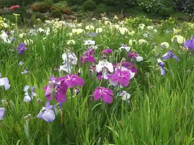 常盤神社(山口県)