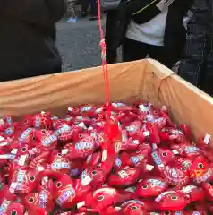 川越氷川神社のおみくじ