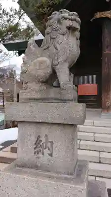龍宮神社の狛犬
