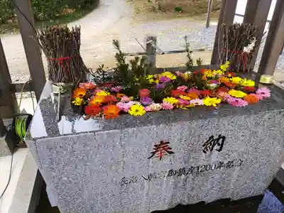 長沼八幡宮(栃木県)