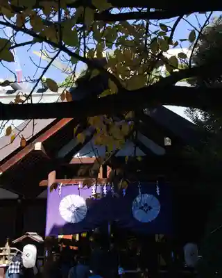 東京大神宮(東京都)