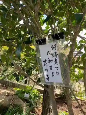 円照寺(兵庫県)