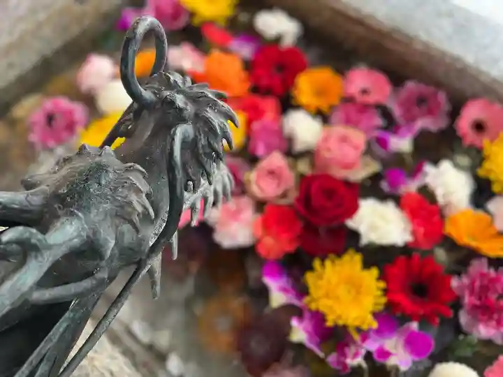 札幌諏訪神社の手水舎