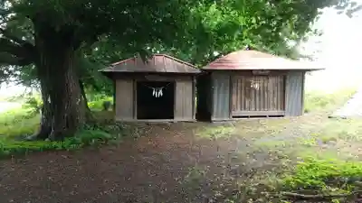 大杉神社(栃木県)