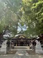 穴八幡宮の本殿・本堂