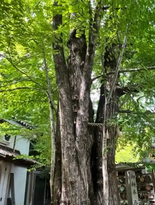 梨木神社の{uncategorized: "未分類", other: "その他", undefined: "問題あり", building: "その他建物", grave: "お墓", sacred_gate: "鳥居", guardian: "狛犬", statue: "像", buddha: "仏像", history: "歴史", nature: "自然", garden: "庭園", animal: "動物", pagoda: "塔", temizu: "手水舎", mountain_gate: "山門・神門", sanctuary: "本殿・本堂", subordinate: "末社・摂社", art: "芸術", scenery: "景色", jizo: "地蔵", ema: "絵馬", goshuin: "御朱印", omikuji: "おみくじ", items: "授与品その他", amulet: "お守り", goshuincho: "御朱印帳", eats: "食事", festival: "お祭り", votive_dance: "神楽", shichigosan: "七五三参", wedding: "結婚式", experience: "体験その他", initially: "初詣", around: "周辺", anti_infection: "感染症対策"}