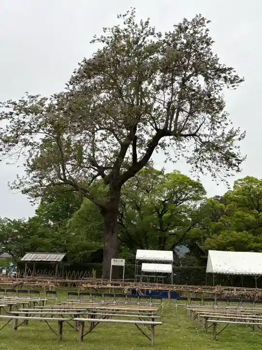 賀茂別雷神社(上賀茂神社)の{uncategorized: "未分類", other: "その他", undefined: "問題あり", building: "その他建物", grave: "お墓", sacred_gate: "鳥居", guardian: "狛犬", statue: "像", buddha: "仏像", history: "歴史", nature: "自然", garden: "庭園", animal: "動物", pagoda: "塔", temizu: "手水舎", mountain_gate: "山門・神門", sanctuary: "本殿・本堂", subordinate: "末社・摂社", art: "芸術", scenery: "景色", jizo: "地蔵", ema: "絵馬", goshuin: "御朱印", omikuji: "おみくじ", items: "授与品その他", amulet: "お守り", goshuincho: "御朱印帳", eats: "食事", festival: "お祭り", votive_dance: "神楽", shichigosan: "七五三参", wedding: "結婚式", experience: "体験その他", initially: "初詣", around: "周辺", anti_infection: "感染症対策"}