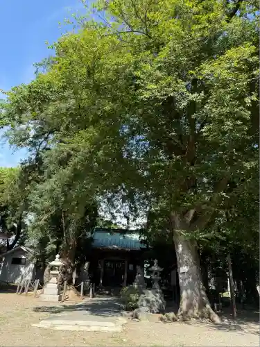 勝福寺(神奈川県)